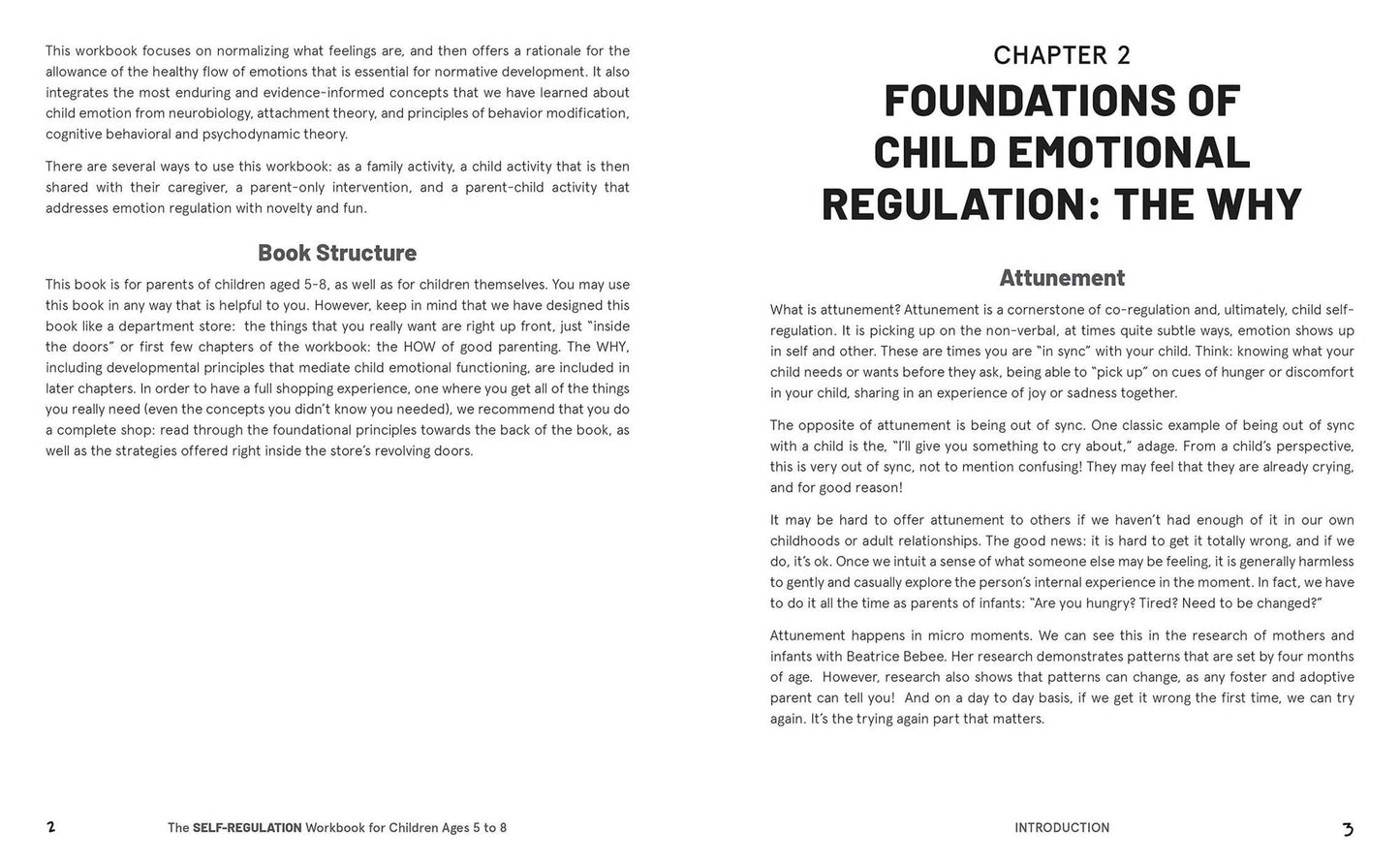The Self-Regulation Workbook for Children Ages 5 to 8: A Parent-Child Resource for Engaging in Healthy Coping Skills and Building Connection