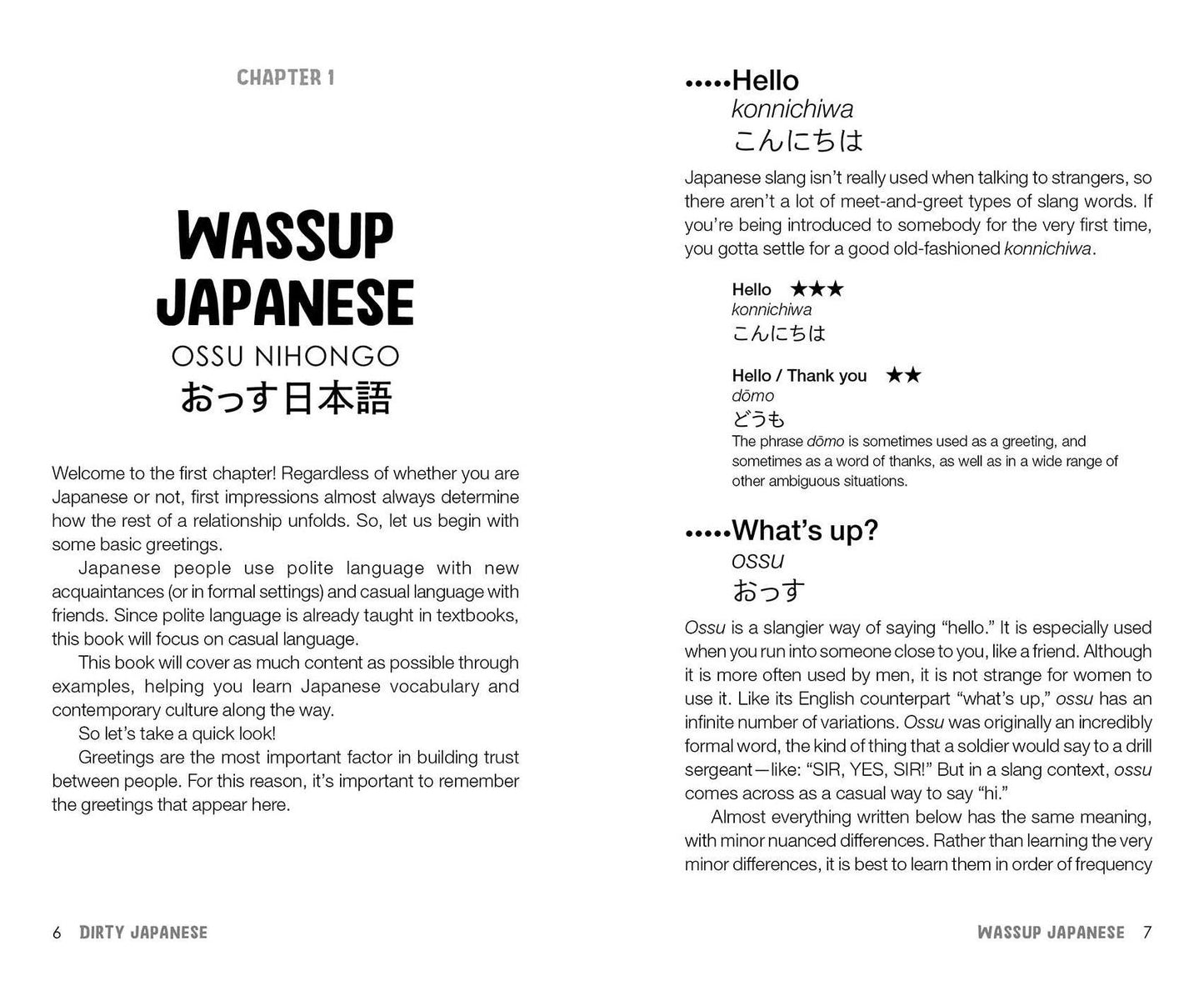 Dirty Japanese, Second Edition: Power Up Your Conversation with Casual Slang and Onomatopoeia Phrases to Use with Friends, Enemies, Lovers, and More