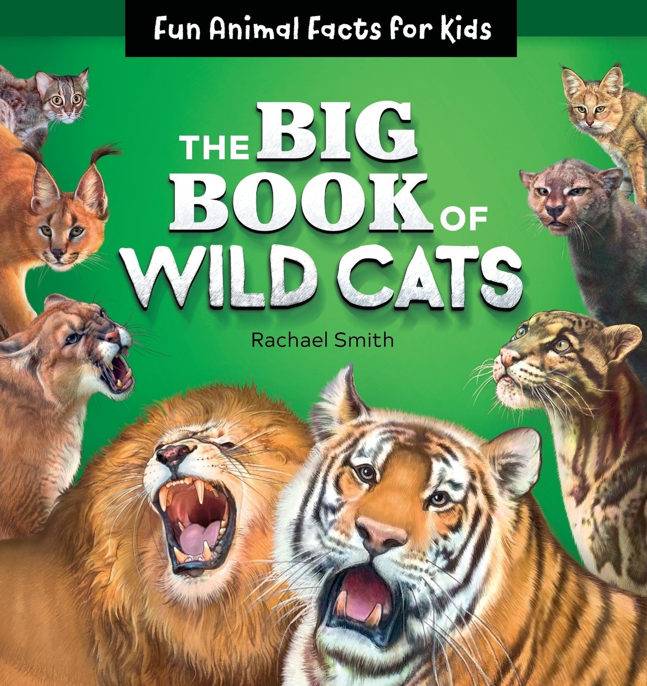 The Big Book of Wild Cats: Fun Animal Facts for Kids