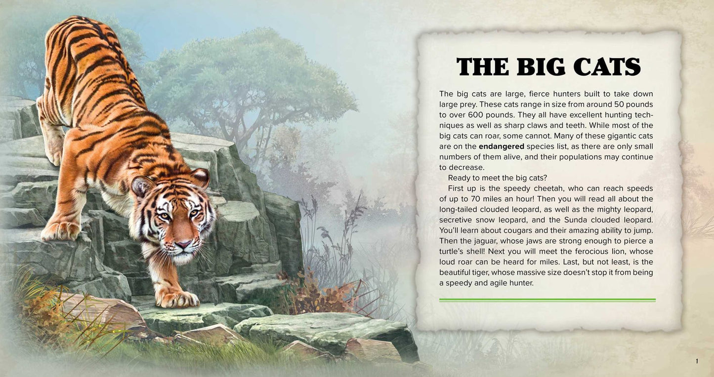 The Big Book of Wild Cats: Fun Animal Facts for Kids