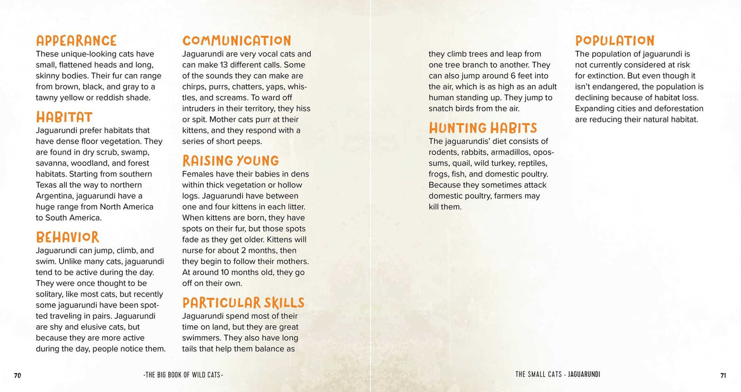 The Big Book of Wild Cats: Fun Animal Facts for Kids