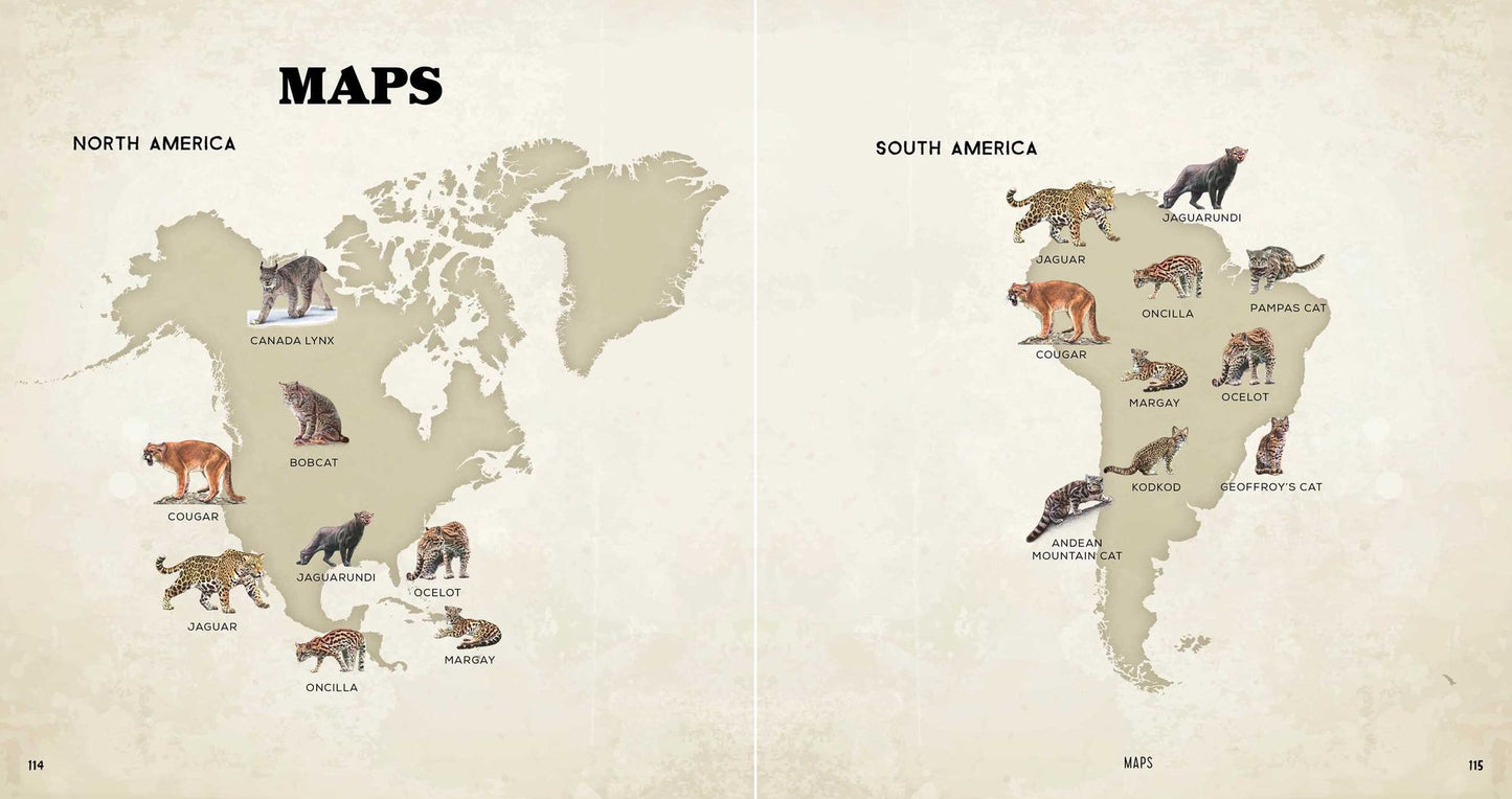 The Big Book of Wild Cats: Fun Animal Facts for Kids