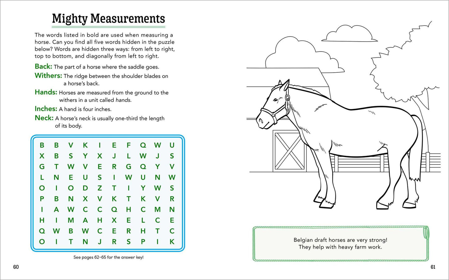 Horses!: A Coloring and Activity Book for Kids with Word Searches, Dot-to-Dots, Mazes, and More
