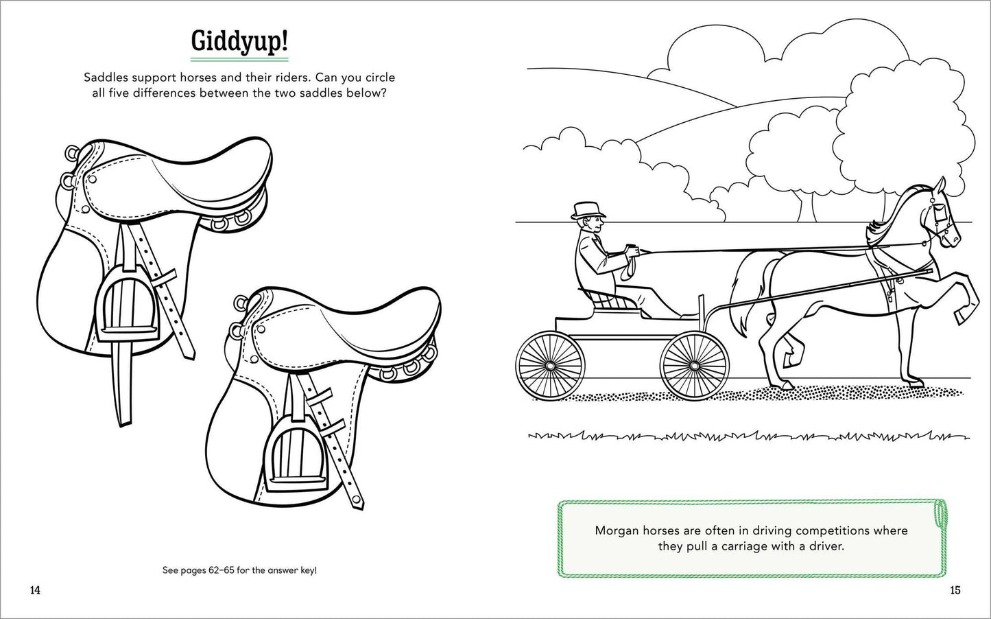 Horses!: A Coloring and Activity Book for Kids with Word Searches, Dot-to-Dots, Mazes, and More