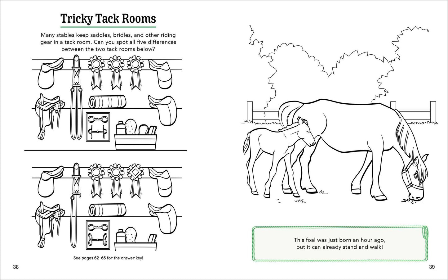 Horses!: A Coloring and Activity Book for Kids with Word Searches, Dot-to-Dots, Mazes, and More