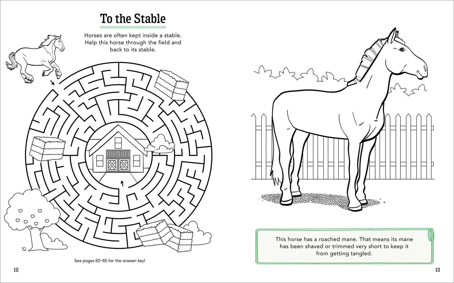 Horses!: A Coloring and Activity Book for Kids with Word Searches, Dot-to-Dots, Mazes, and More