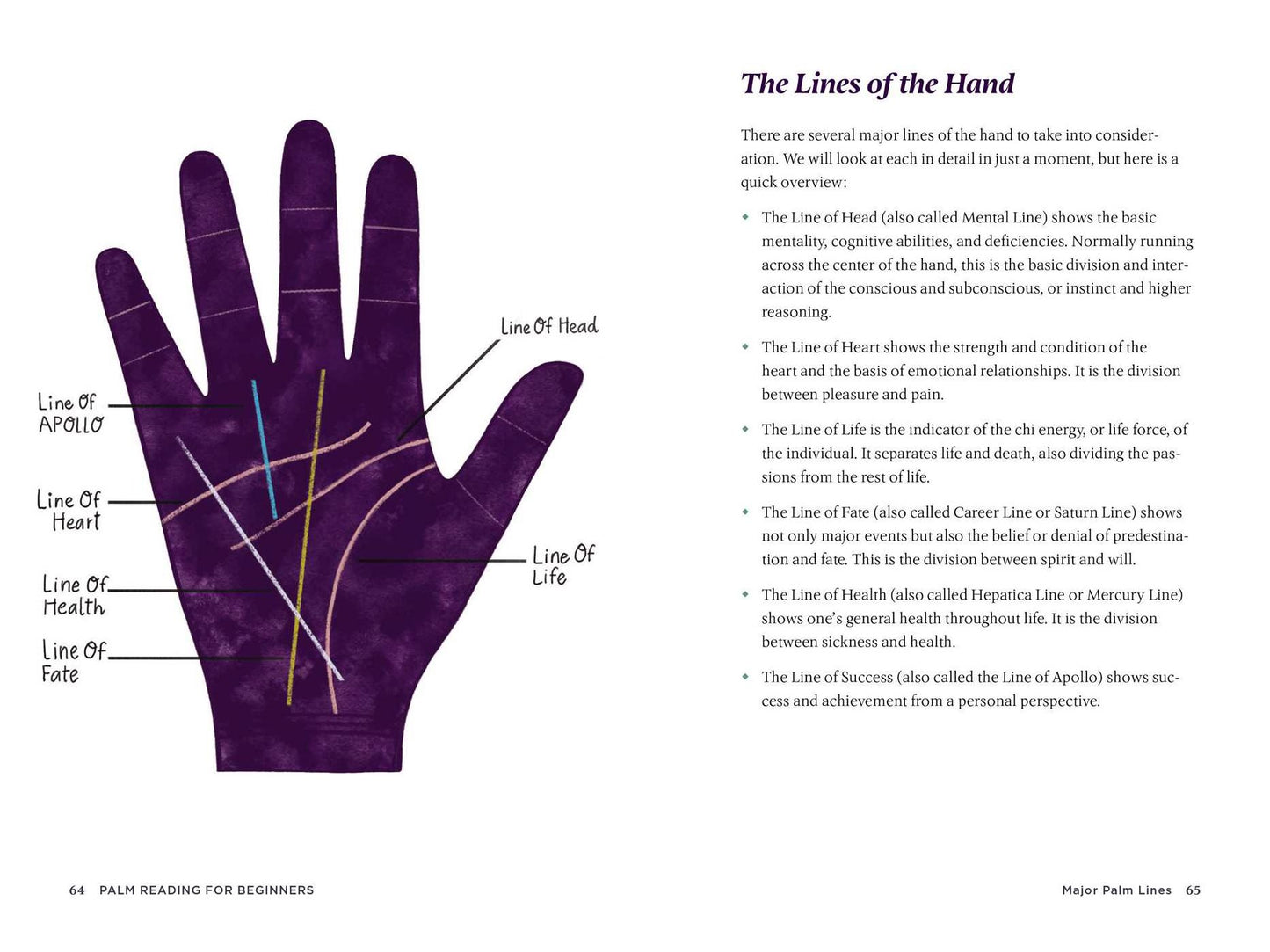 Palm Reading for Beginners: A Guide to Discovering Your Strengths and Decoding Your Life Path