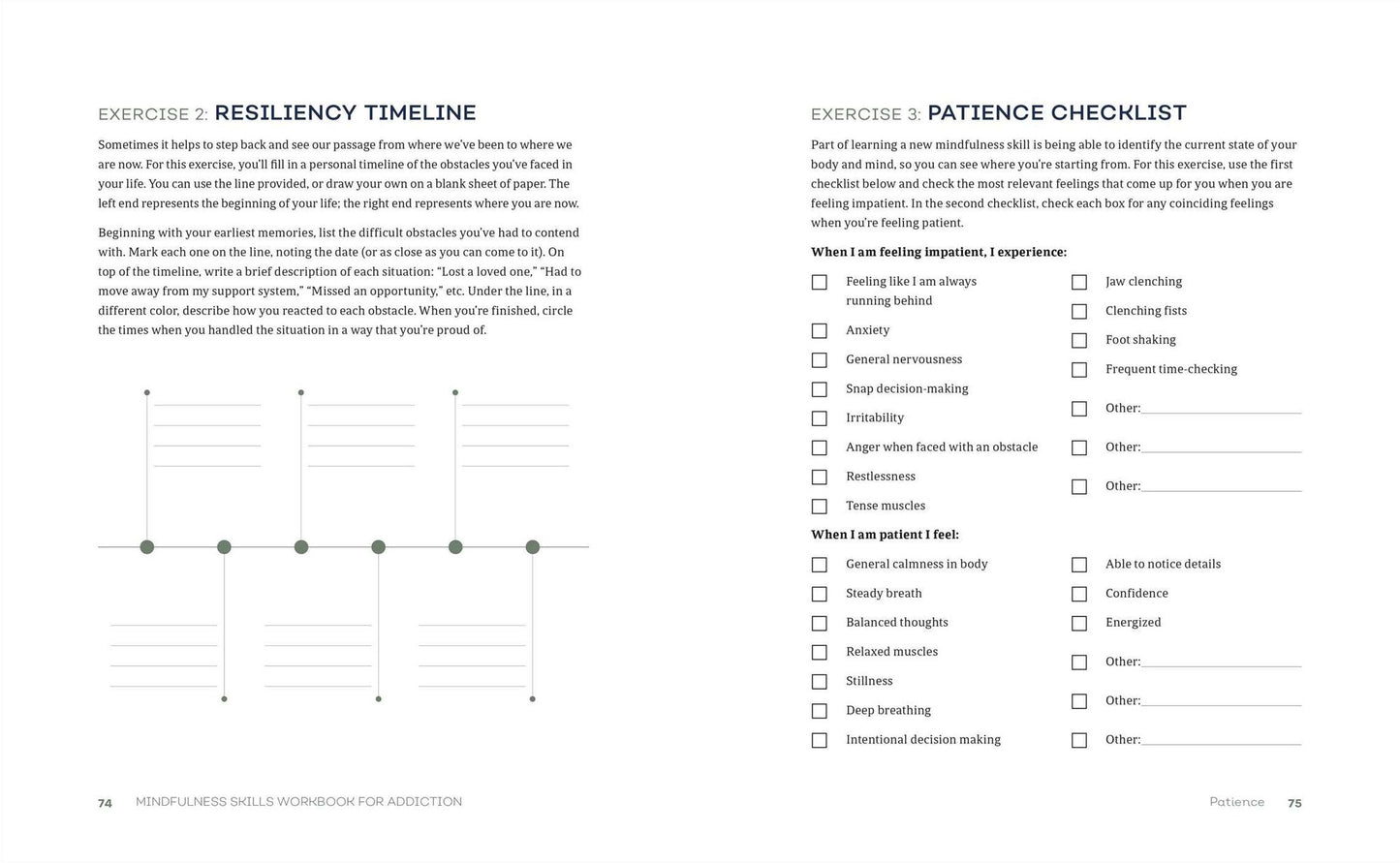Mindfulness Skills Workbook for Addiction: Practical Meditations and Exercises to Change Addictive Behaviors