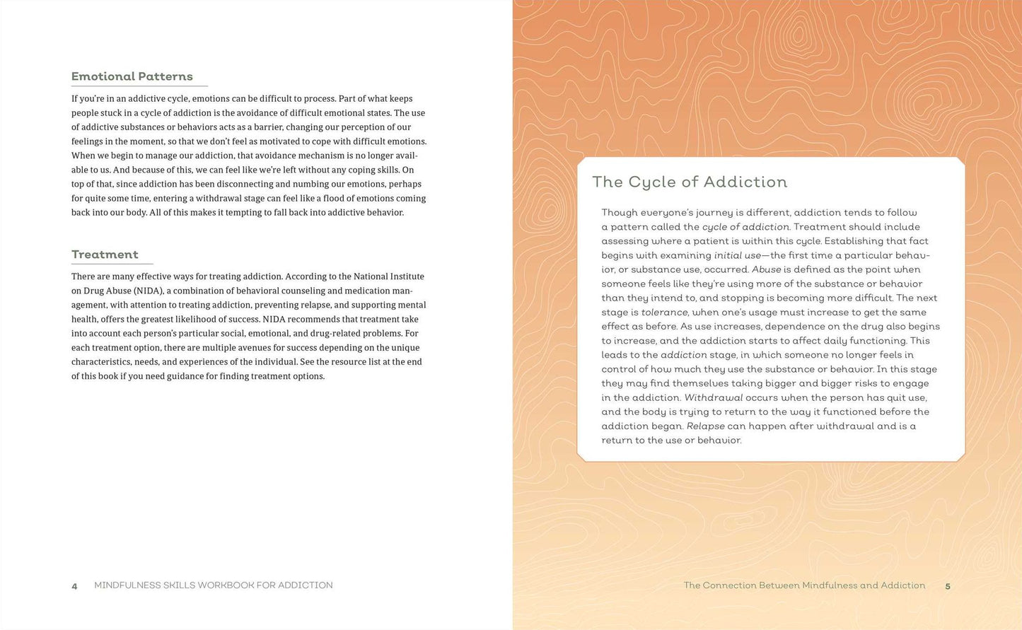 Mindfulness Skills Workbook for Addiction: Practical Meditations and Exercises to Change Addictive Behaviors