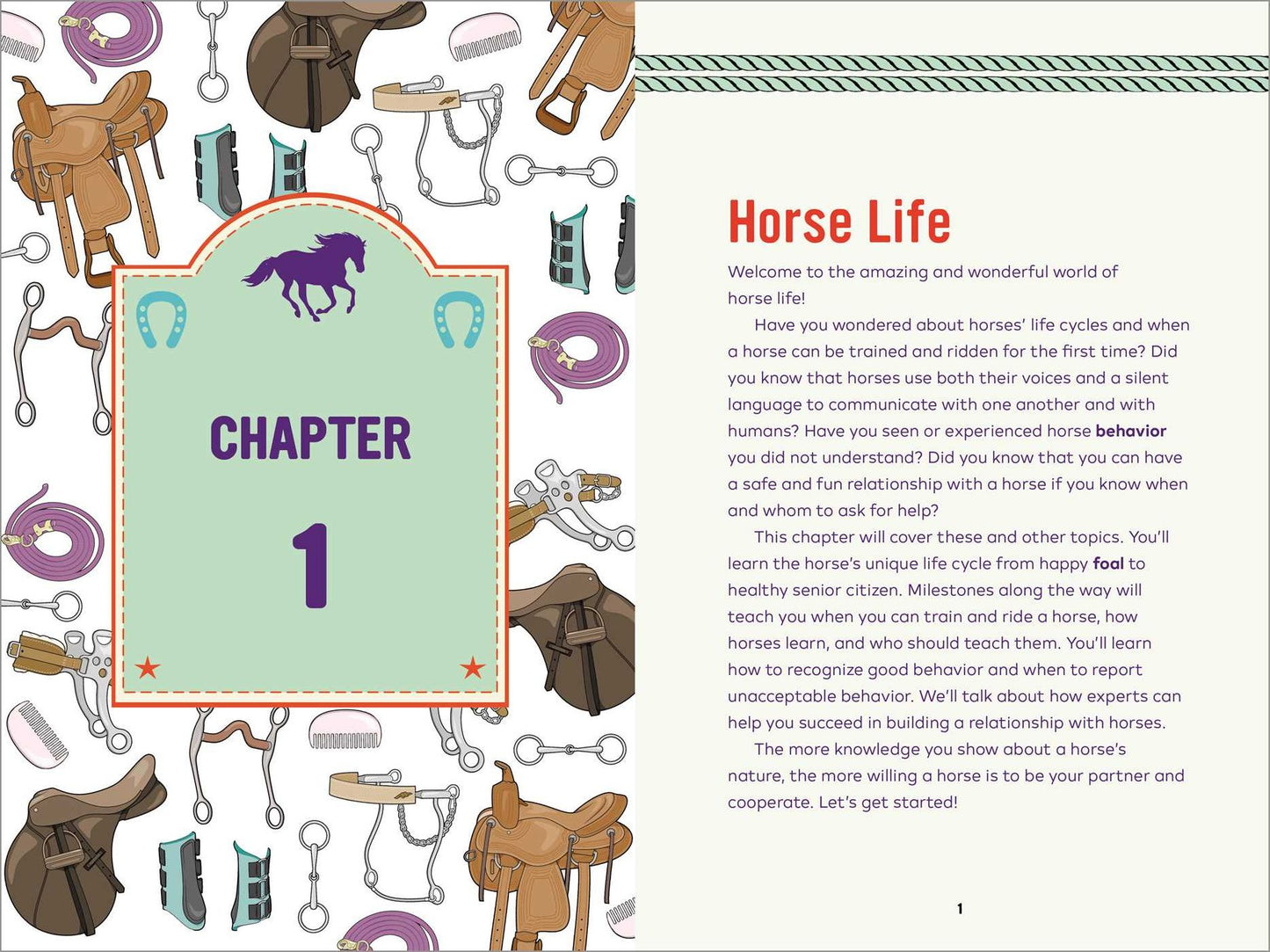 Horse Life: The Ultimate Guide to Caring for and Riding Horses for Kids