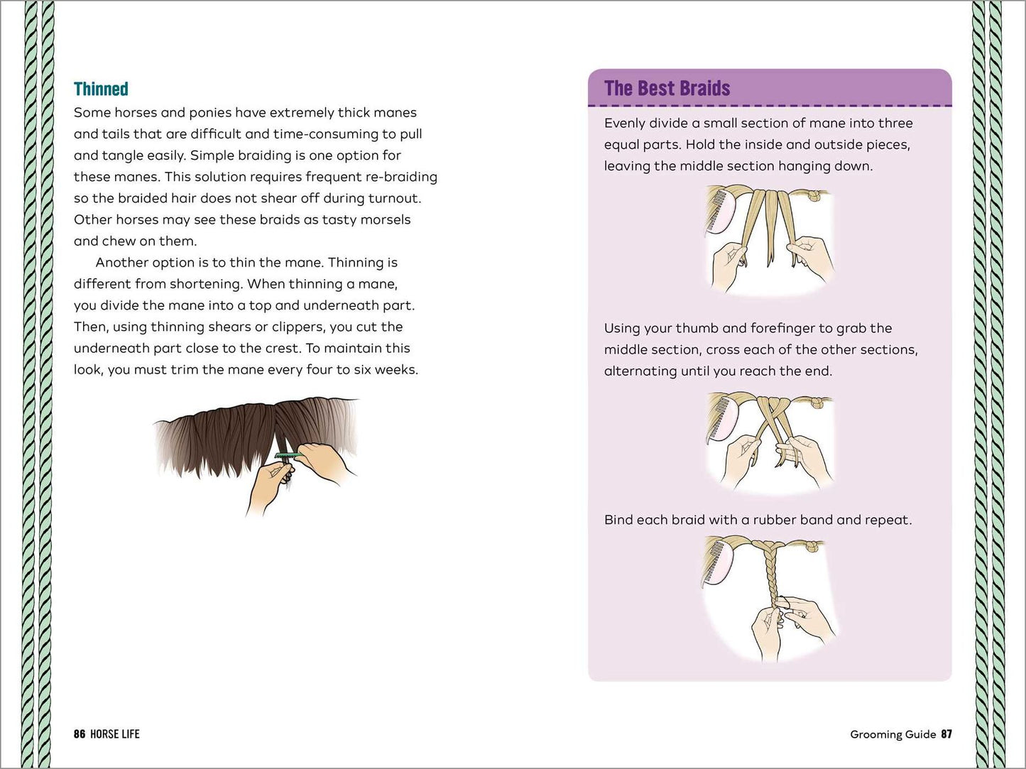 Horse Life: The Ultimate Guide to Caring for and Riding Horses for Kids