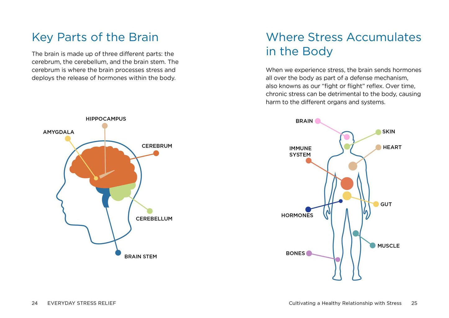 Everyday Stress Relief: Essential Techniques to Boost Emotional Resiliency and Improve Your Health