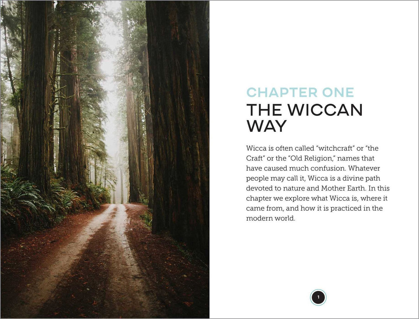 Modern Wicca: Beliefs and Traditions for Contemporary Life