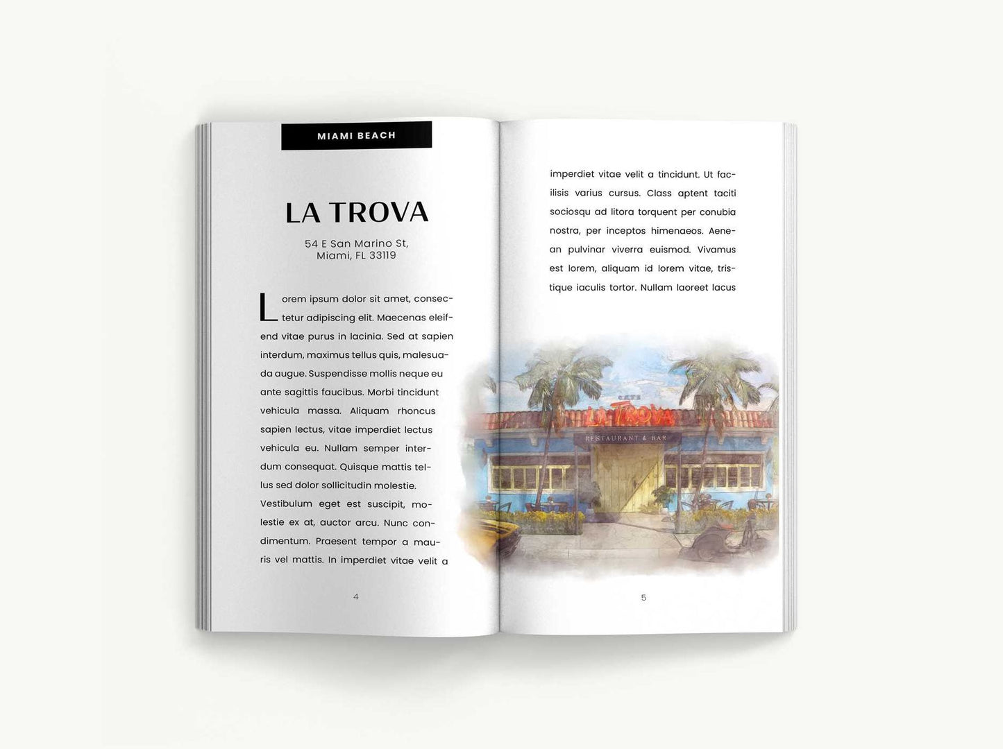 Drink Like a Local Miami: The Insider's Guide to South Beach and the Magic City