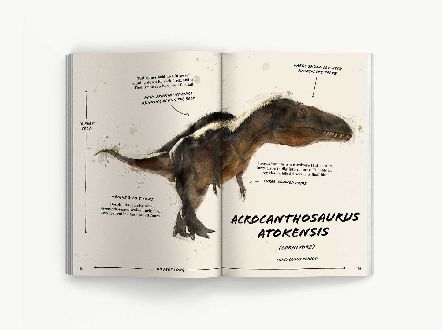 The Ultimate Dinosaur Field Guide: The Prehistoric Explorer's Handbook