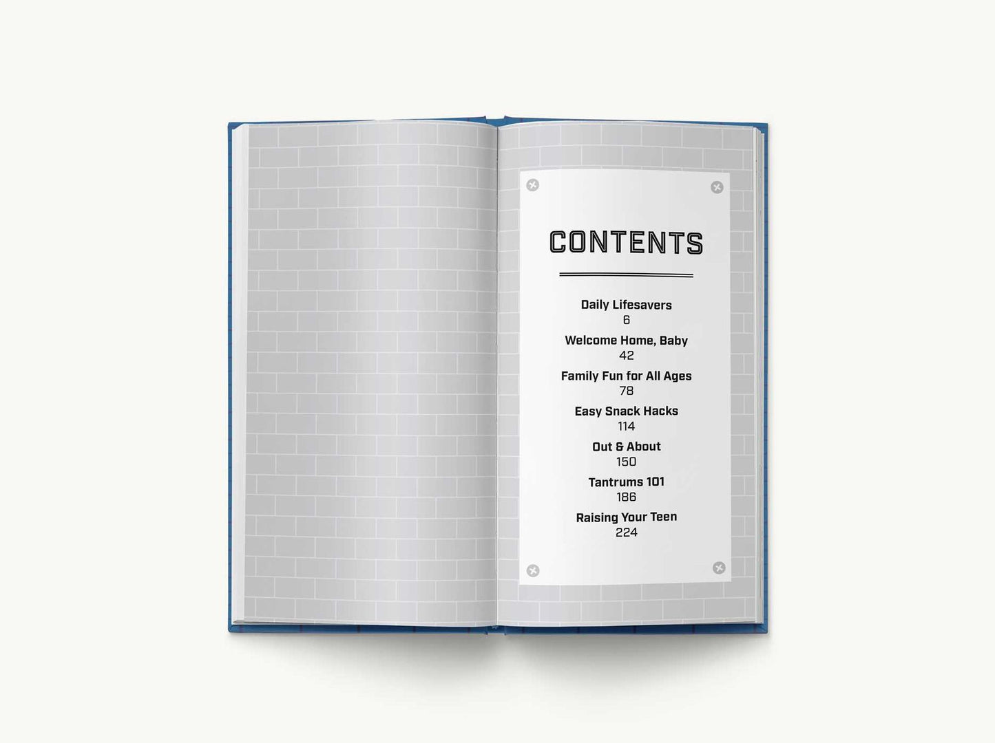 The Brick of Dad Hacks: Tips, Tricks, Shortcuts, and Dad-isms for Easy Parenting (Fatherhood, Parenting Book, Parenting Advice, New Dads)