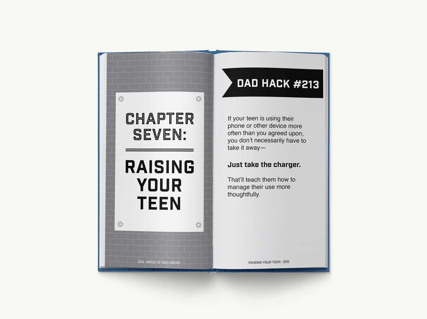 The Brick of Dad Hacks: Tips, Tricks, Shortcuts, and Dad-isms for Easy Parenting (Fatherhood, Parenting Book, Parenting Advice, New Dads)