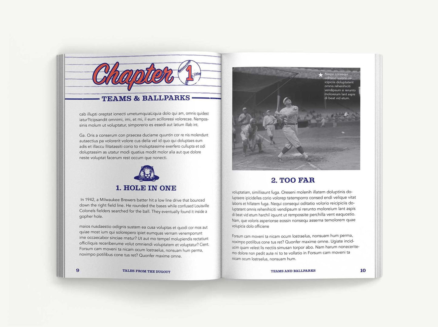 Tales from the Dugout: 1,001 Humorous, Inspirational and Wild Anecdotes from Minor League Baseball