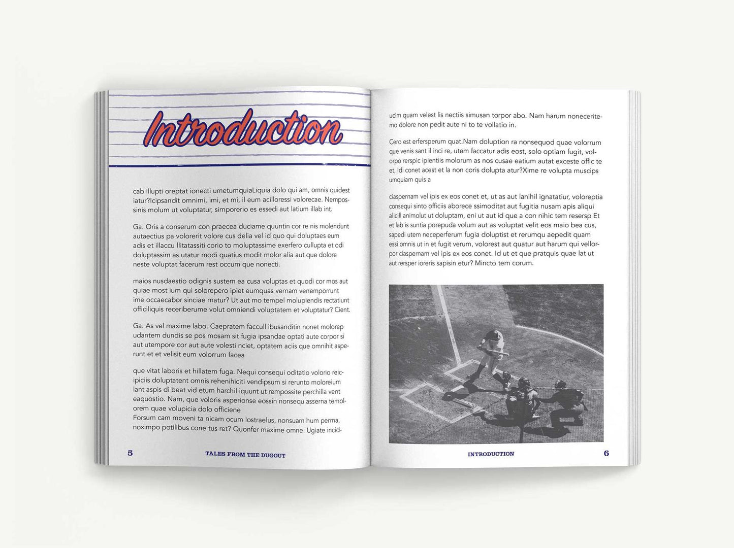 Tales from the Dugout: 1,001 Humorous, Inspirational and Wild Anecdotes from Minor League Baseball