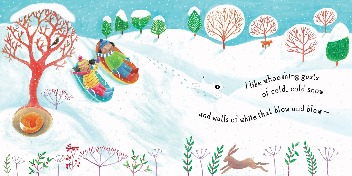 I Like the Snow