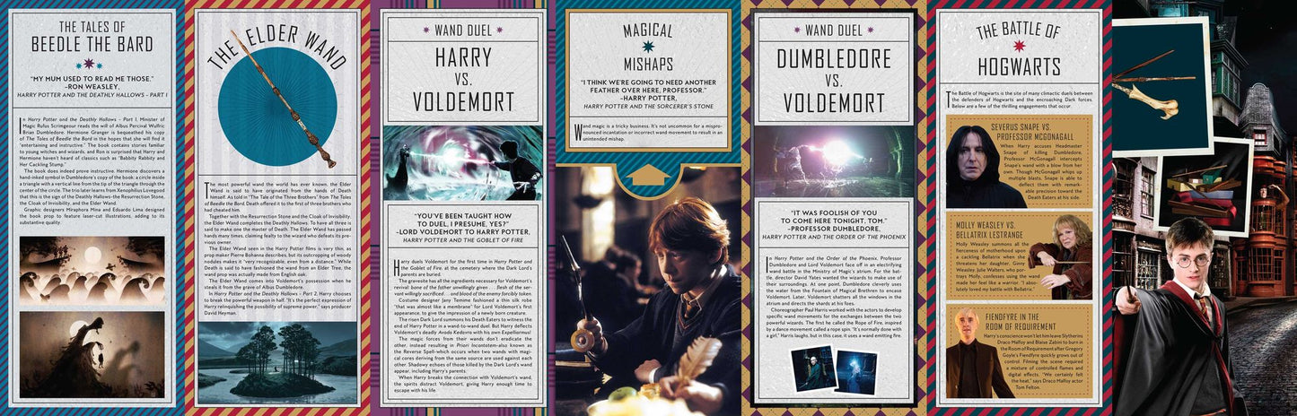 Harry Potter: Wand Magic: Artifacts from the Wizarding World