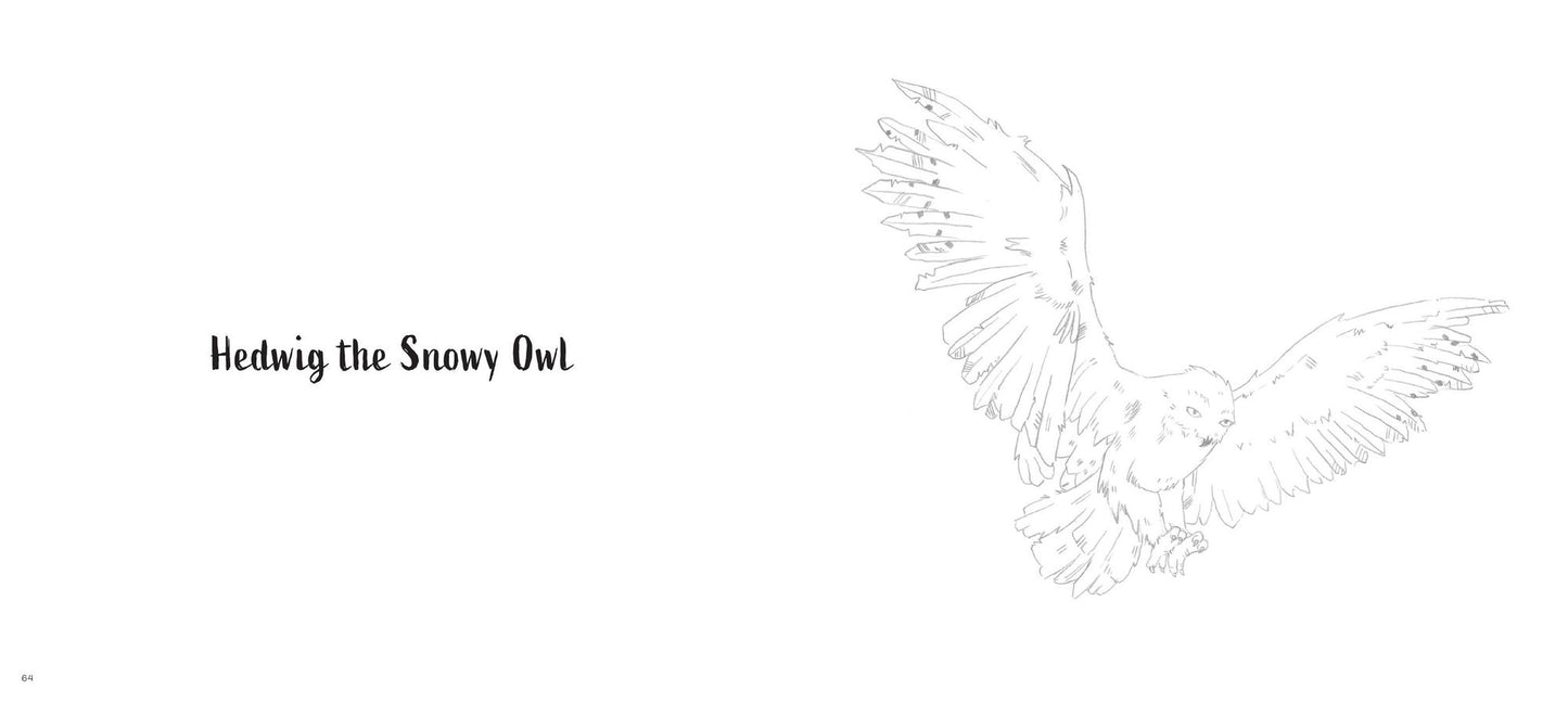 Harry Potter: Watercolor Magic: Flora & Fauna