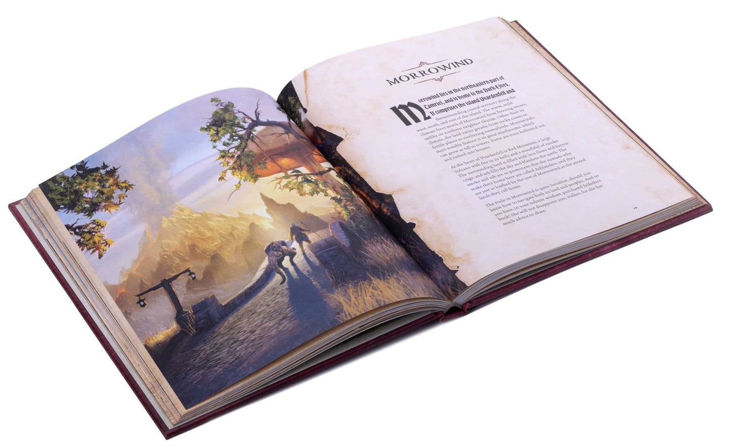 The Elder Scrolls: The Official Survival Guide to Tamriel