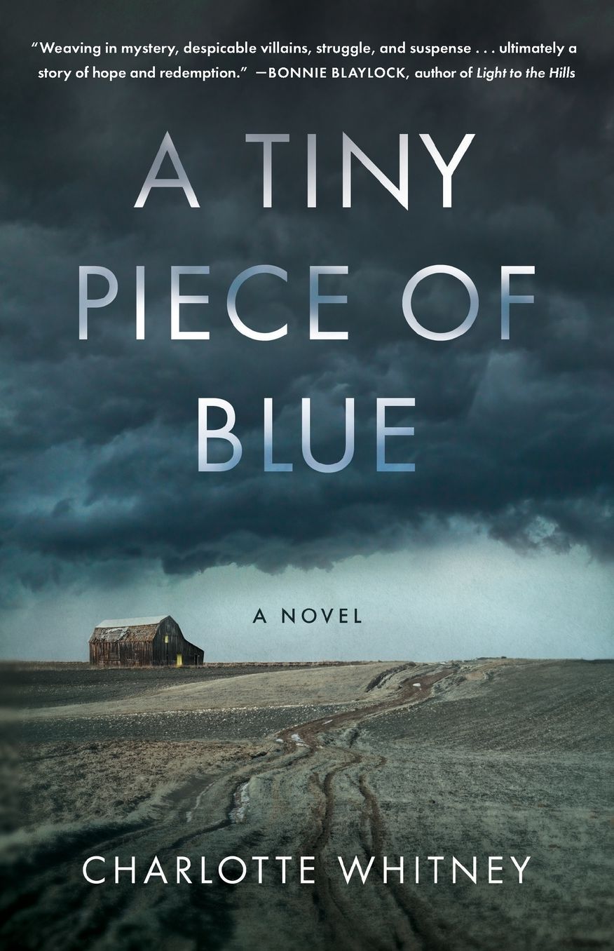 A Tiny Piece of Blue: A Novel