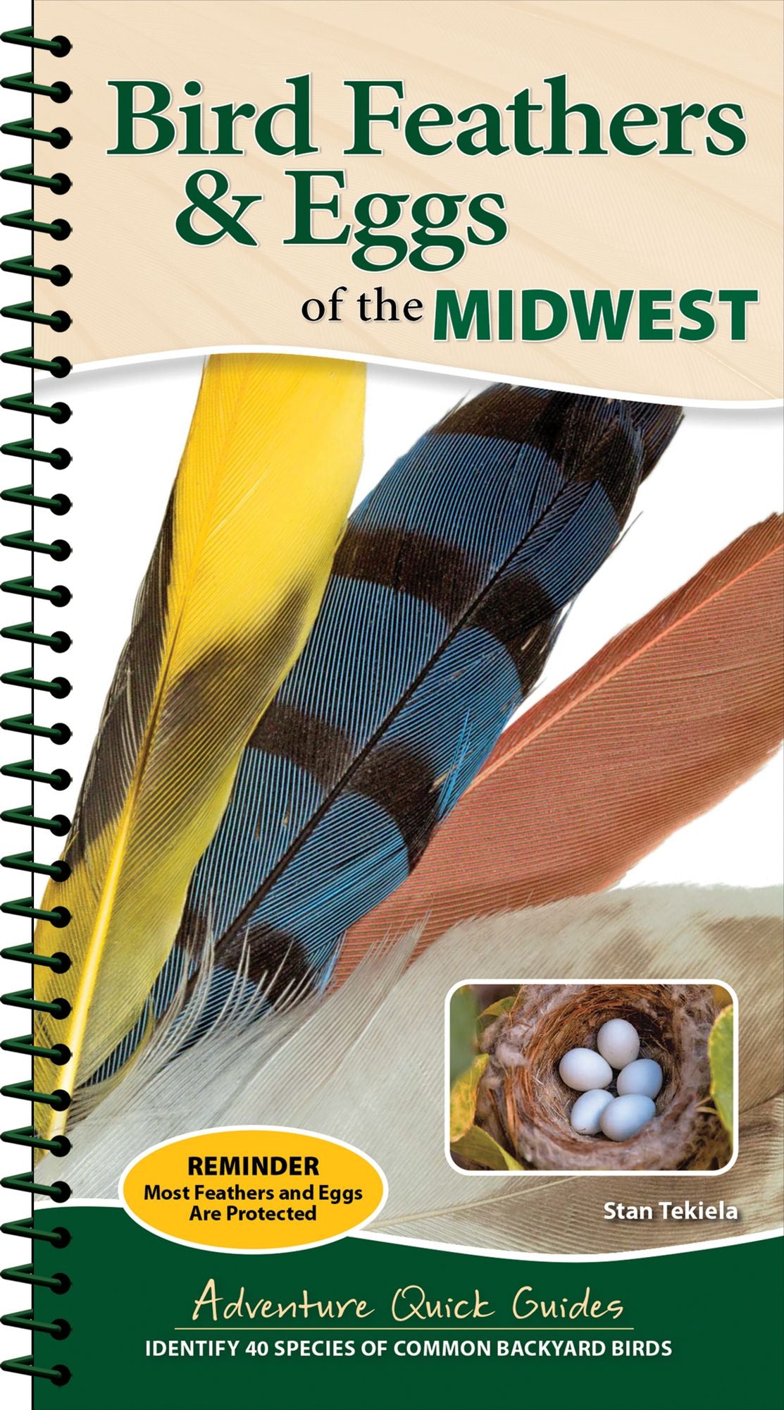 Bird Feathers & Eggs of the Midwest: Identify 40 Species of Common Backyard Birds