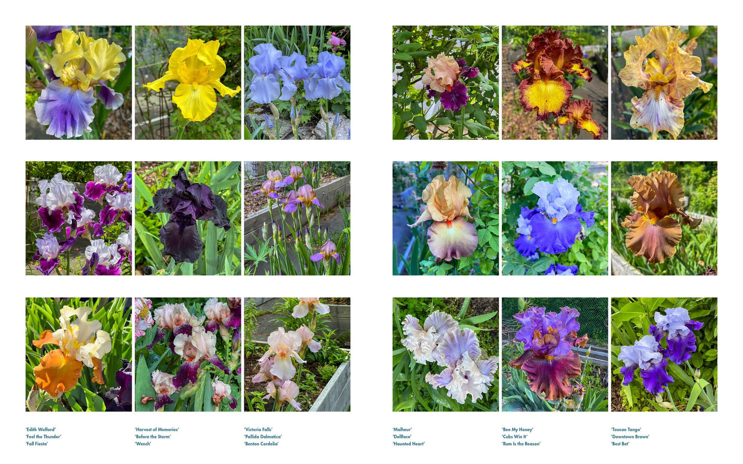 Life with Flowers: Inspiration and Lessons from the Garden
