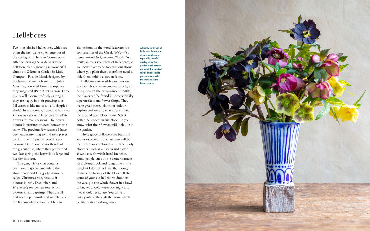 Life with Flowers: Inspiration and Lessons from the Garden