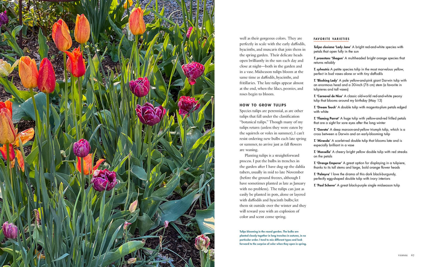 Life with Flowers: Inspiration and Lessons from the Garden