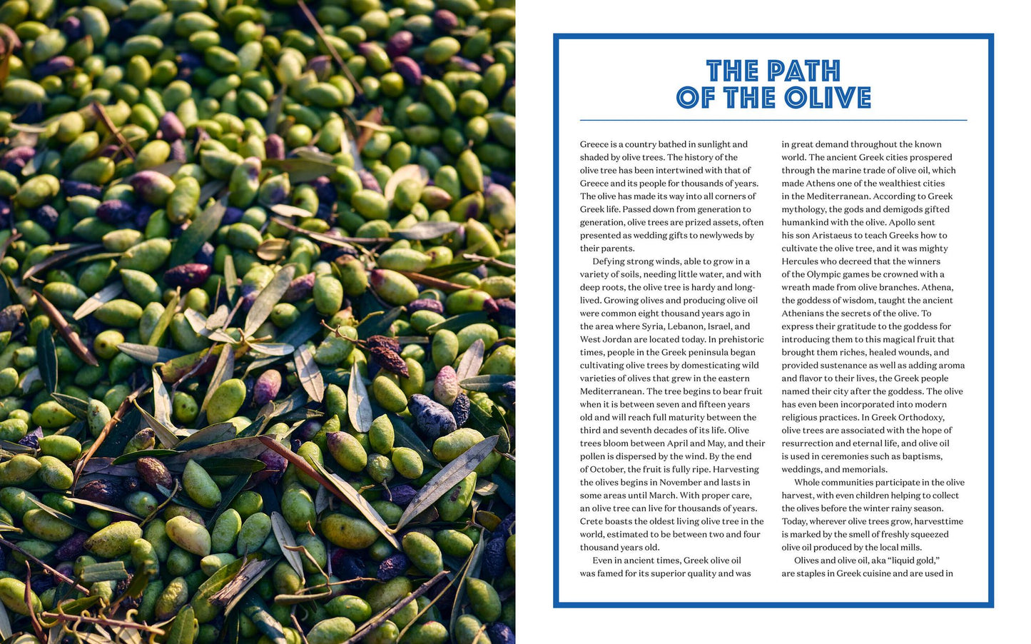 Yassou: The Simple, Seasonal Mediterranean Cooking of Greece