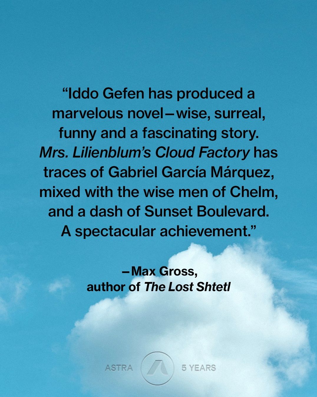 Mrs. Lilienblum's Cloud Factory: A Novel