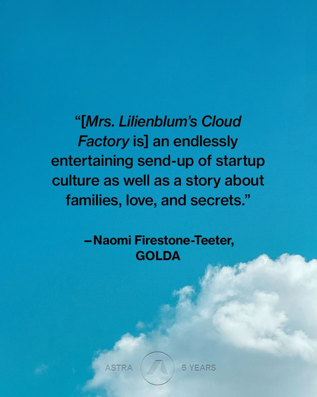 Mrs. Lilienblum's Cloud Factory: A Novel