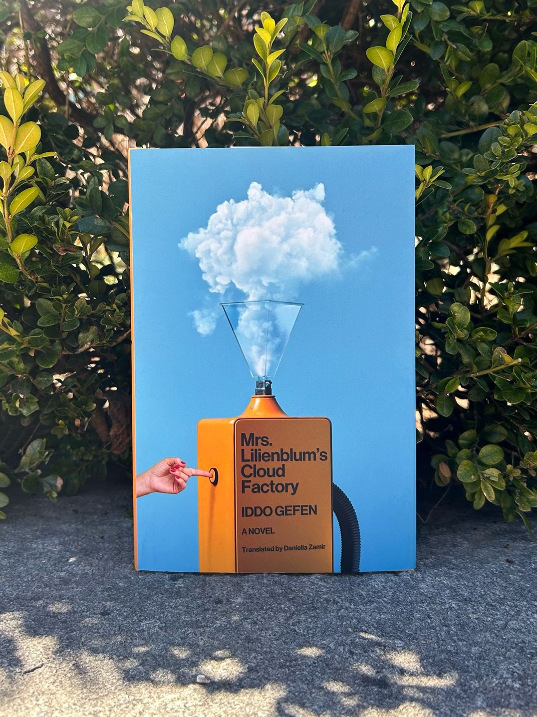 Mrs. Lilienblum's Cloud Factory: A Novel