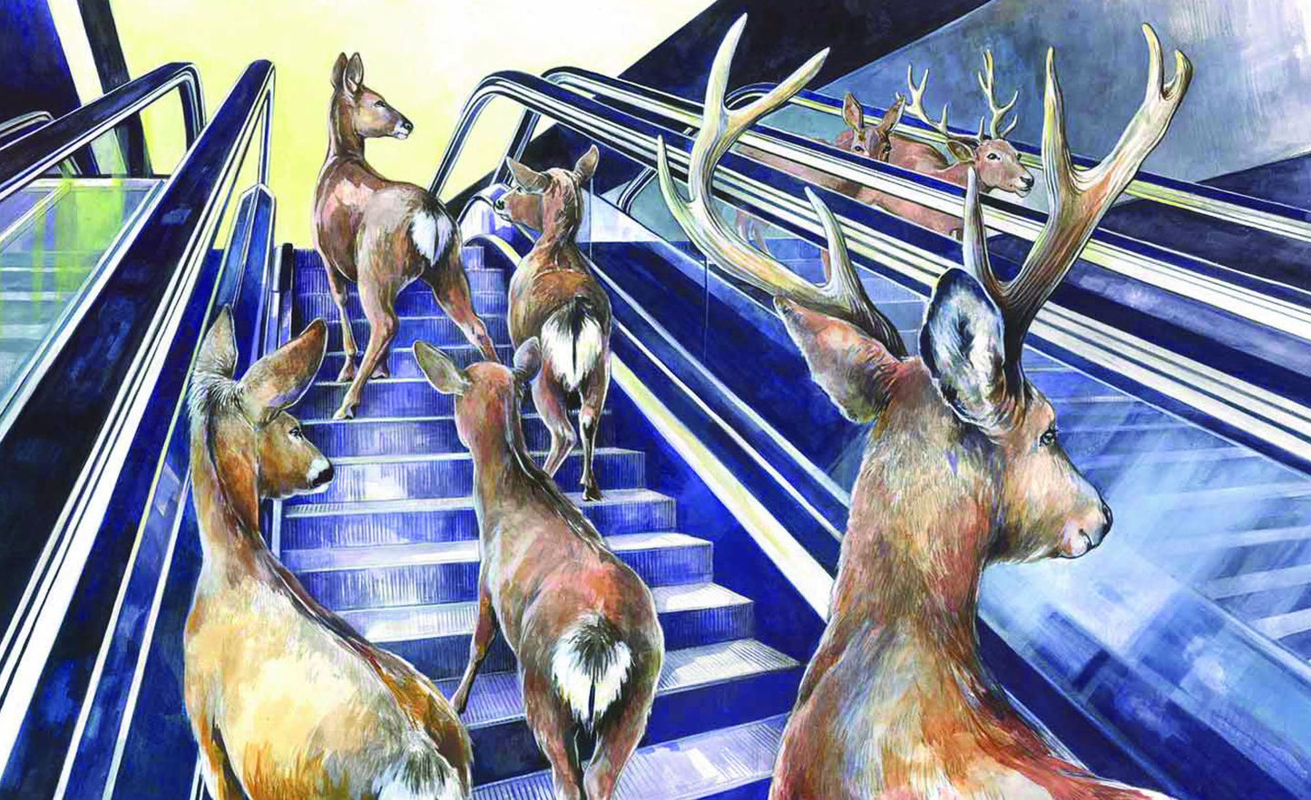 Sea Lions in the Parking Lot: Animals on the Move in a Time of Pandemic