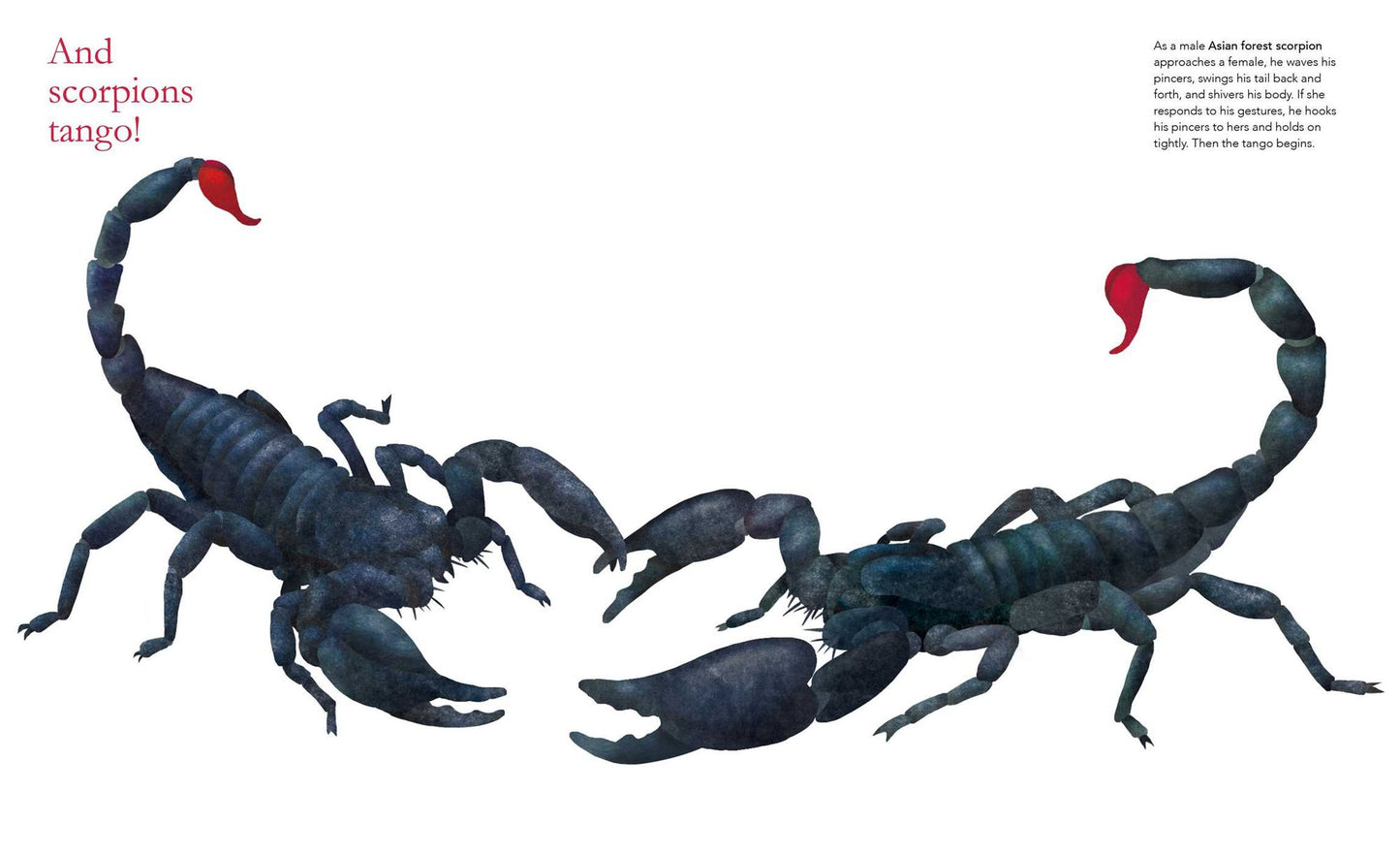 Shall We Dance?