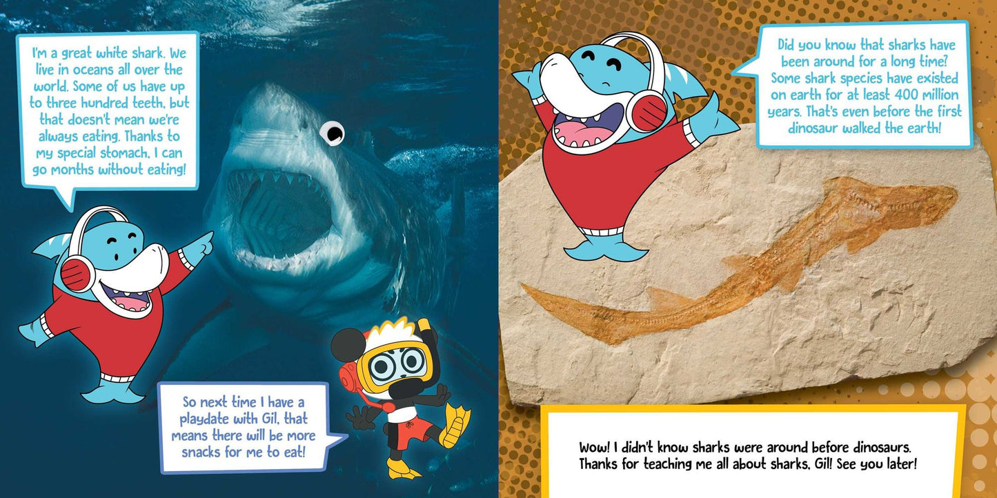 Wild about Sharks!