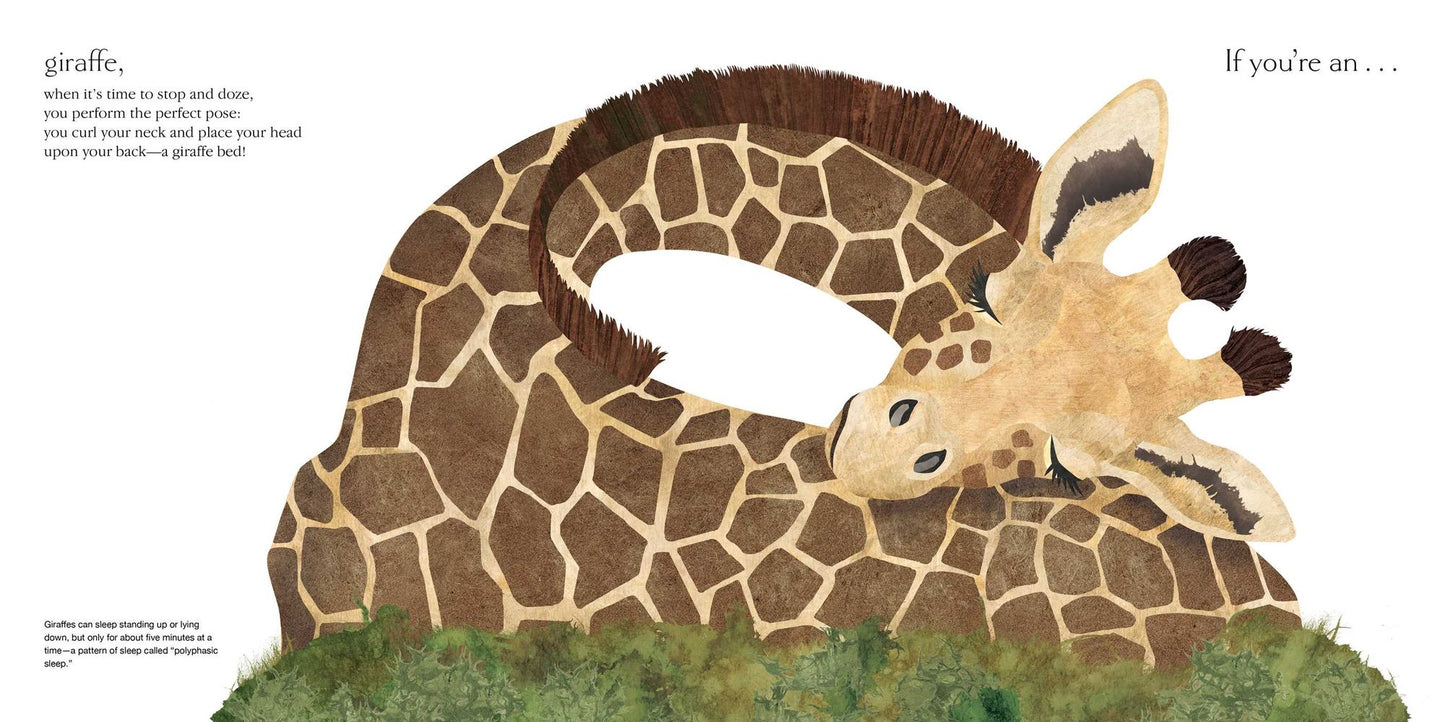 Sleepy: Surprising Ways Animals Snooze