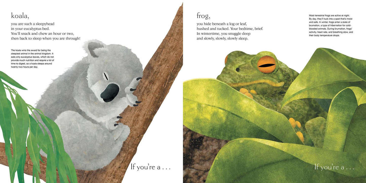 Sleepy: Surprising Ways Animals Snooze