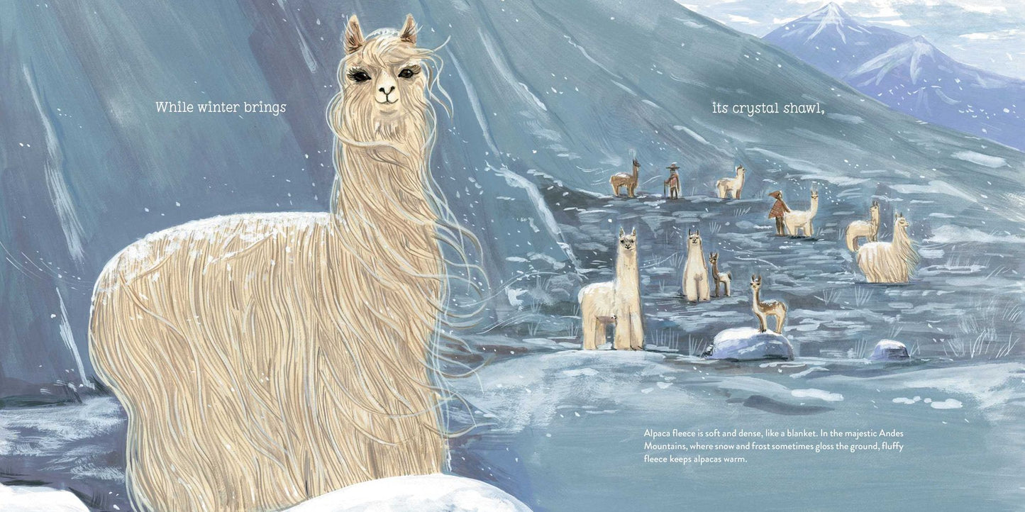 Alpacas Here, Alpacas There
