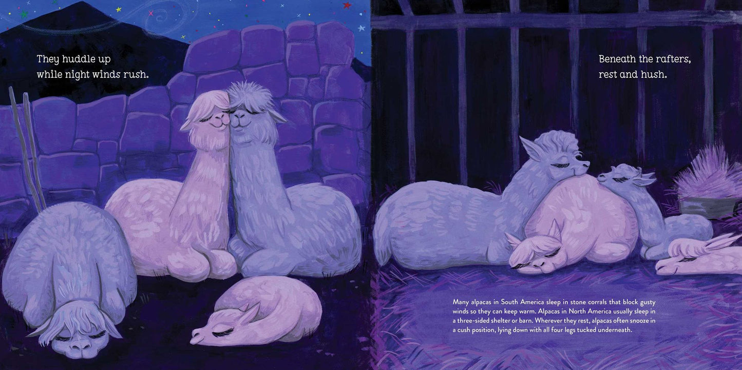 Alpacas Here, Alpacas There