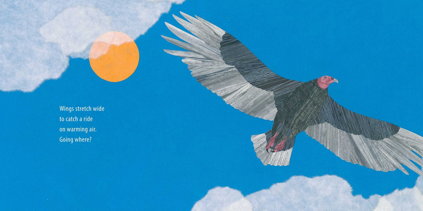 Vulture View