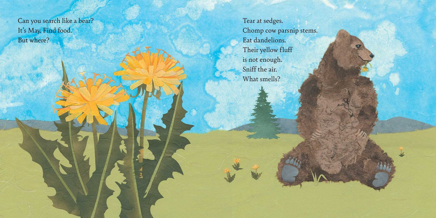 Eat Like a Bear