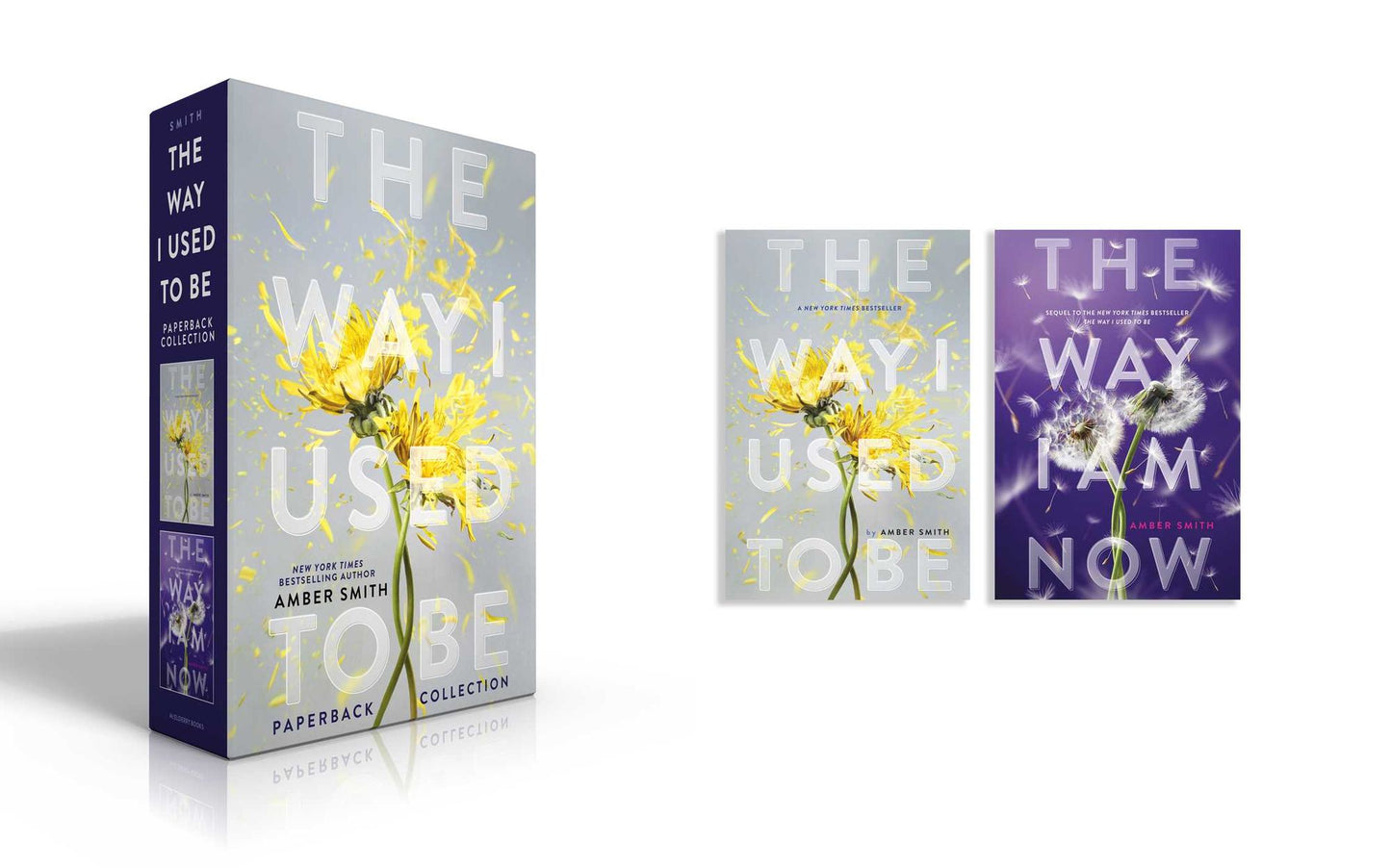The Way I Used to Be Paperback Collection (Boxed Set): The Way I Used to Be; The Way I Am Now