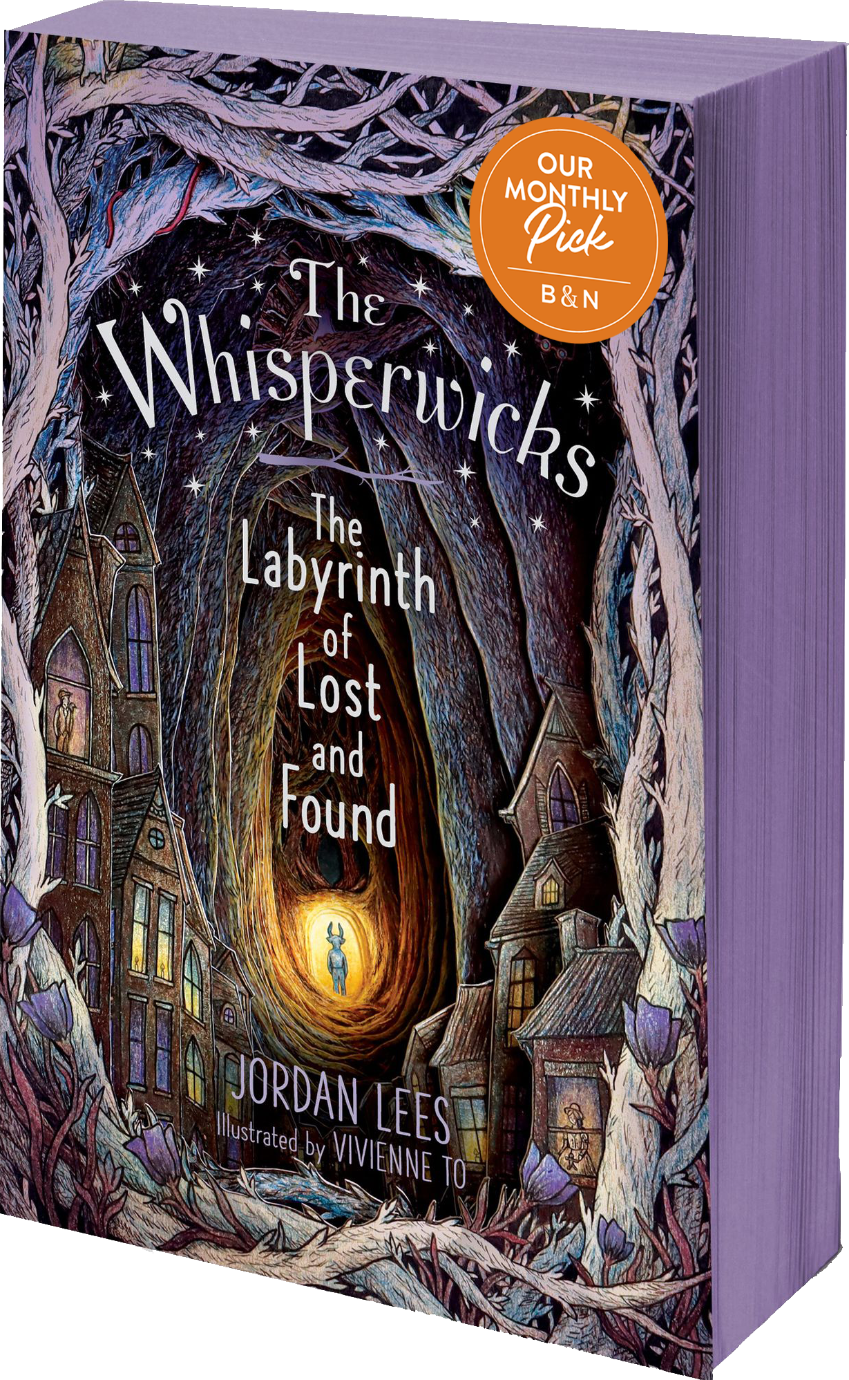 The Labyrinth of Lost and Found (B&N Exclusive Edition)