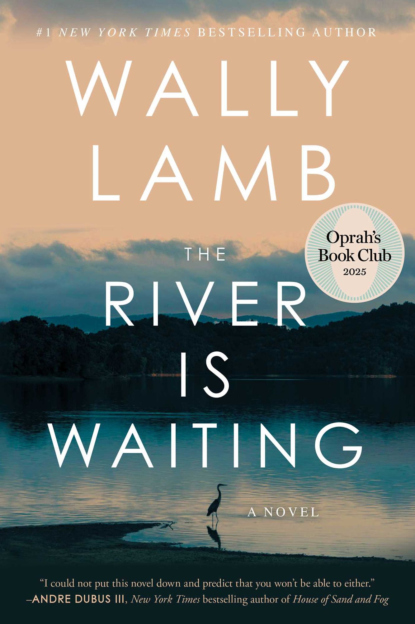 The River Is Waiting: A Novel