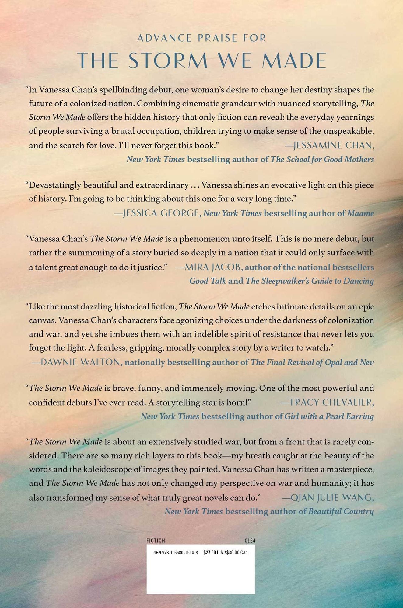 The Storm We Made: A Novel