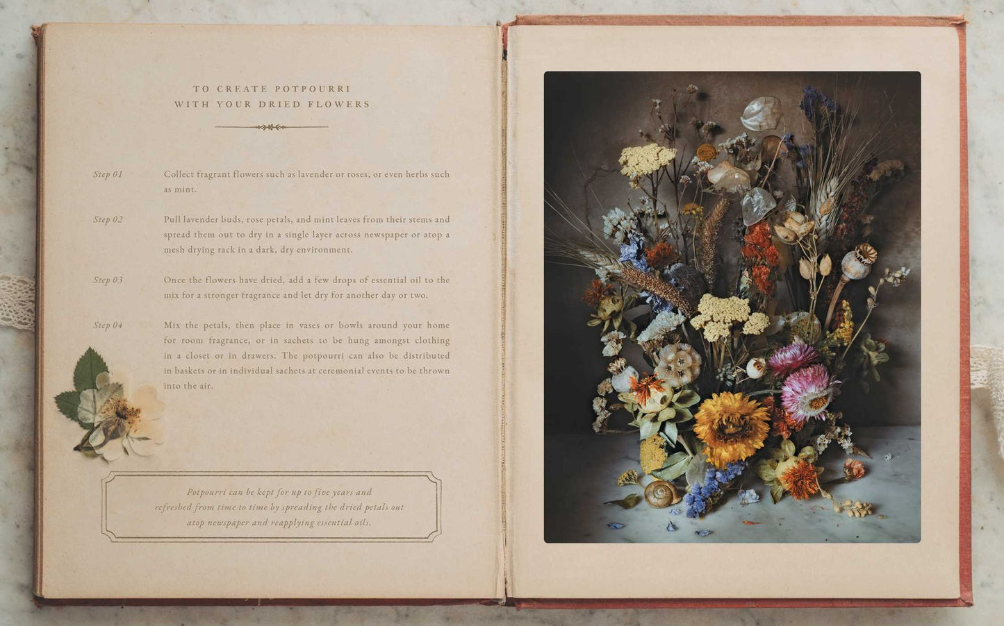 The Flowers of Provence